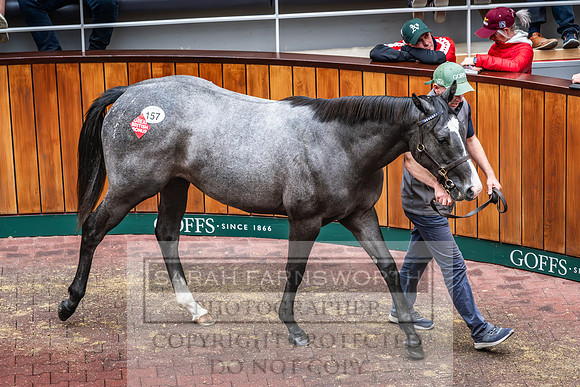 Goffs UK PY24-174