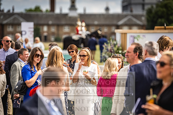 Goffs London Sale 2022-211