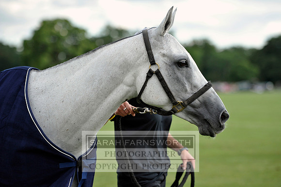 Cirencester Polo CF3 1690