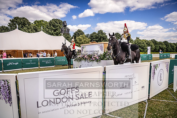 Goffs London Sale 2022-183