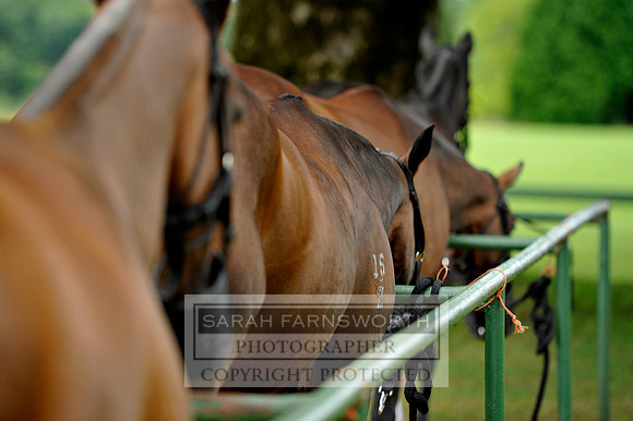 Cirencester Polo CF3 041