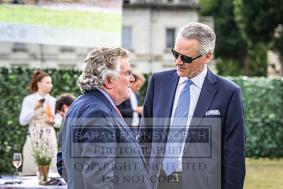 Goffs London Sale 2022-396