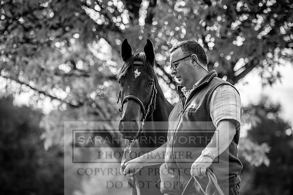 Goffs Orby 2017-254