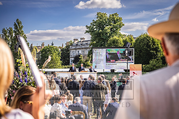 Goffs London Sale 2022-499