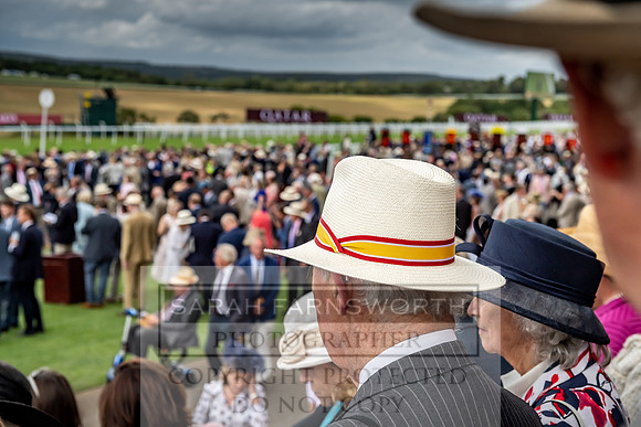 GUK Goodwood Sale 2019-139