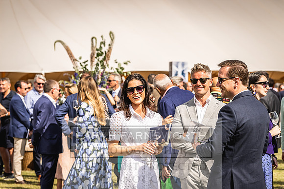 Goffs London Sale 2022-335
