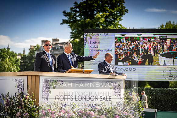Goffs London Sale 2022-466