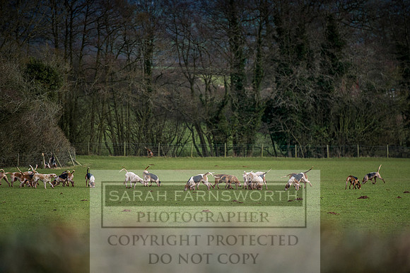 Ludlow 261215-520