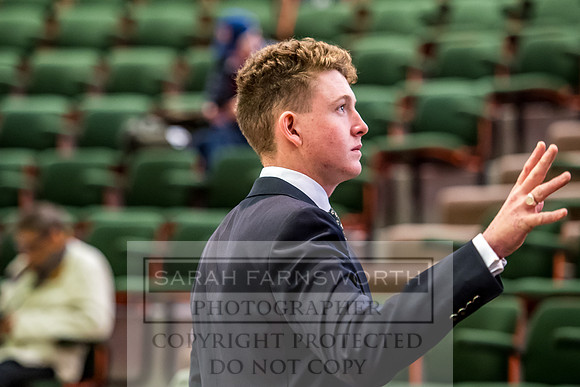 Goffs Orby 2017-657