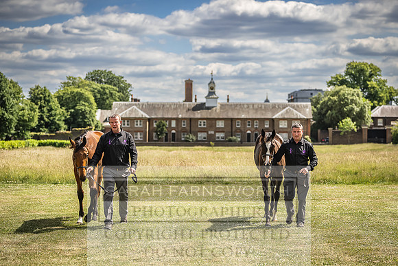Goffs London Sale 2022-86