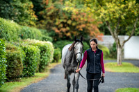 Goffs Orby 2017-8