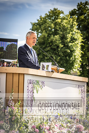 Goffs London Sale 2022-439