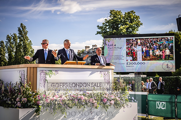 Goffs London Sale 2022-485