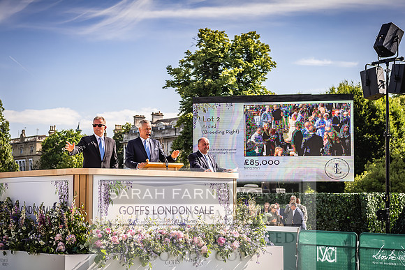 Goffs London Sale 2022-470