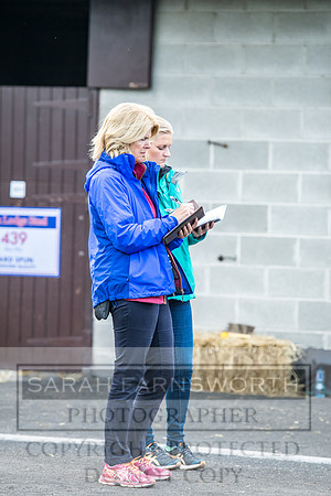 Goffs Orby 2017-69