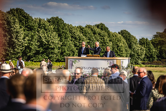 Goffs London Sale 2022-550