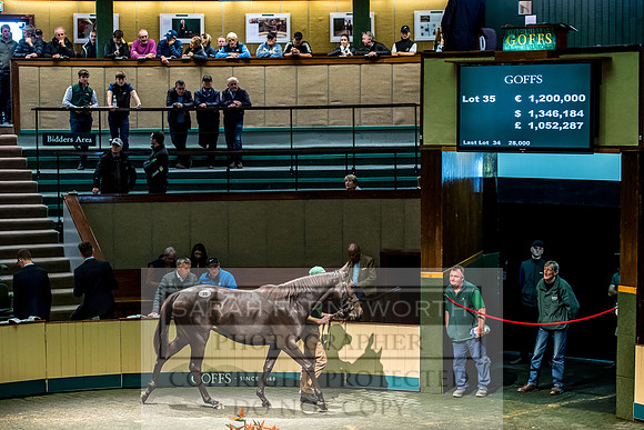 Goffs Orby 2017-199