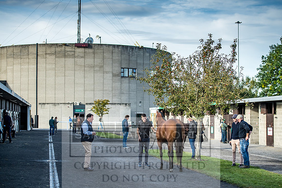 Goffs Orby 2017-106
