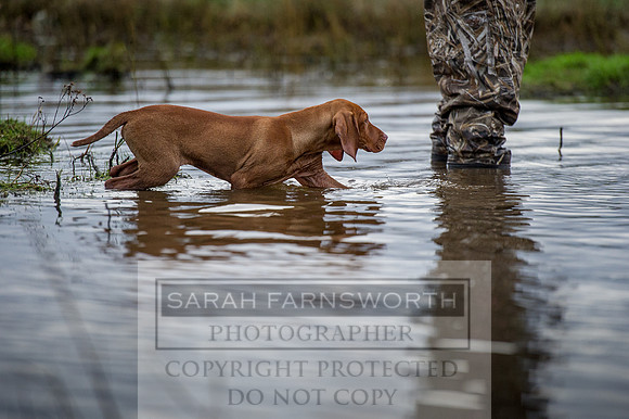 Wildfowling 1010215-22