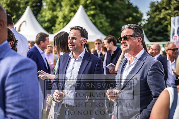 Goffs London Sale 2022-561
