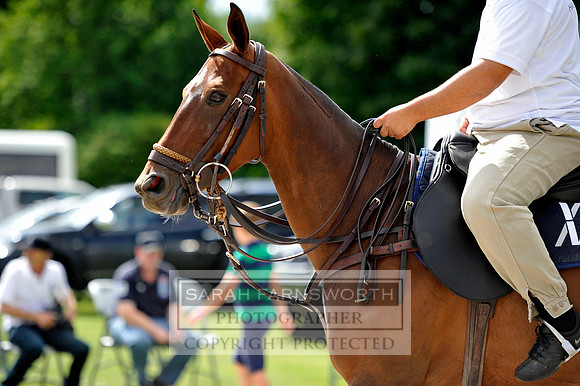 Cirencester Polo CF3 196