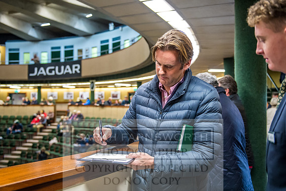Goffs Orby 2017-662