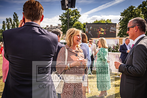 Goffs London Sale 2022-351