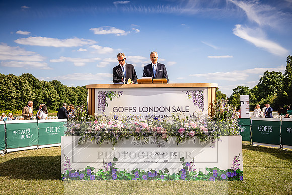 Goffs London Sale 2022-441