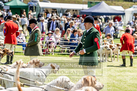 Builth Hound Show 2019-75