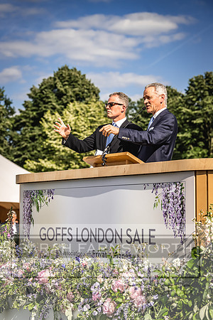 Goffs London Sale 2022-453