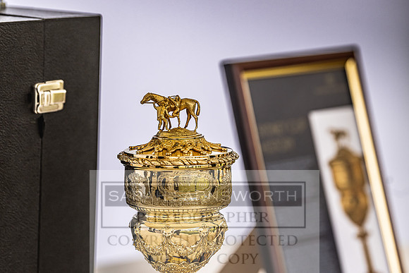 Goffs London Sale 2022-138