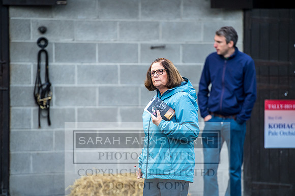 Goffs Orby 2017-79