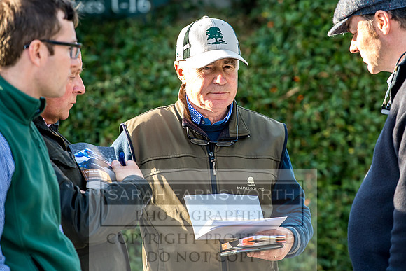 Goffs Orby 2017-410