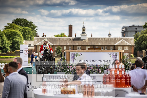 Goffs London Sale 2022-182