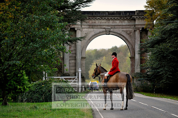 Brocklesby 021113 CF3 1077