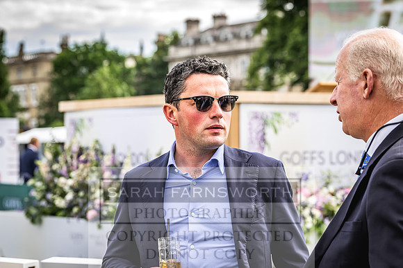 Goffs London Sale 2022-326