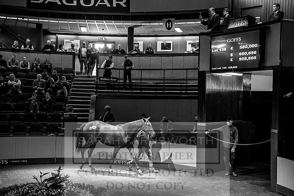 Goffs Orby 2017-300