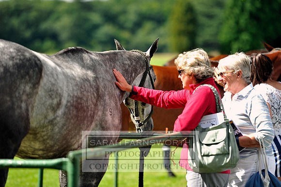 Cirencester Polo CF3 143