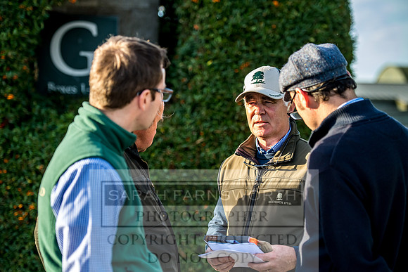 Goffs Orby 2017-405