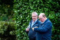 Goffs Orby 2017-20