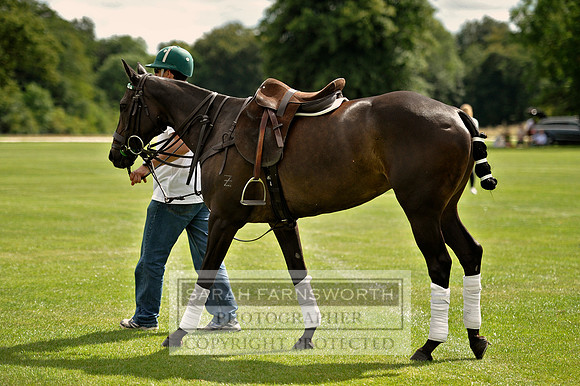 Cirencester Polo CF3 211