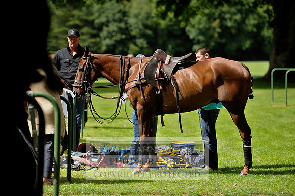 Cirencester Polo CF3 194