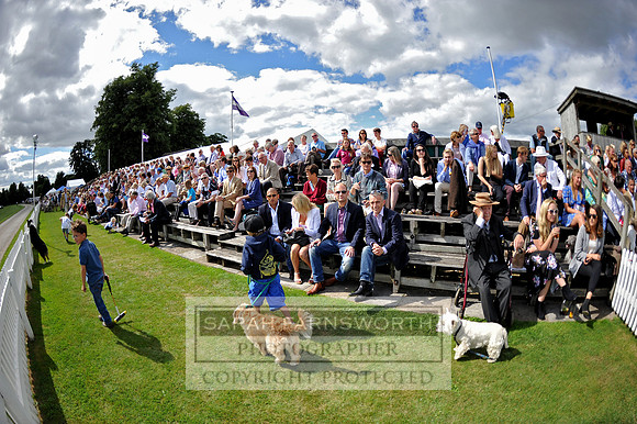 Cirencester Polo CF4 150