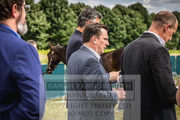 Goffs London Sale 2022-285