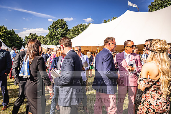 Goffs London Sale 2022-507