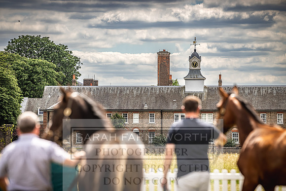 Goffs London Sale 2022-16