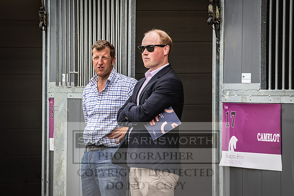 Goffs London Sale 2022-284