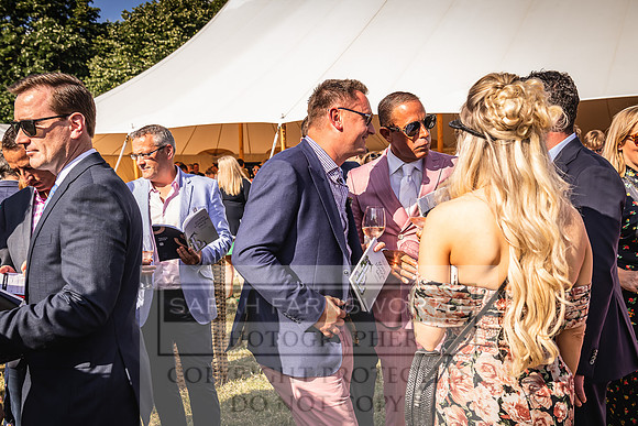 Goffs London Sale 2022-510