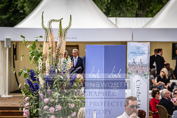 Goffs London Sale 2022-310