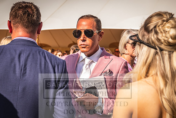 Goffs London Sale 2022-509